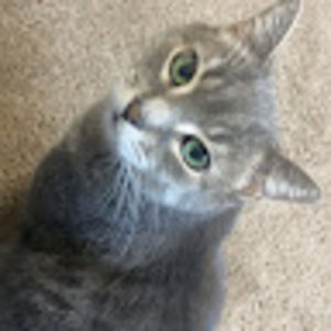 Meet your Posher, Tegan